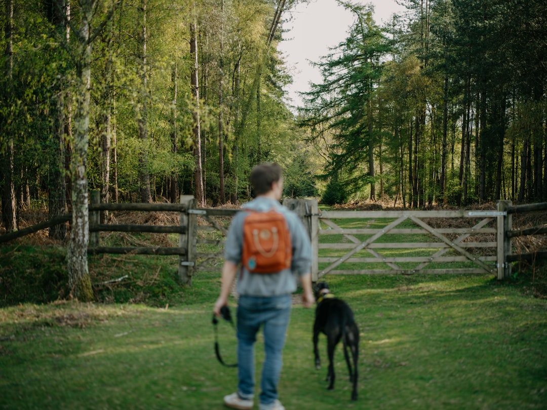 Unleashing Your Inner Explorer: The Joy of Outdoor Adventures
